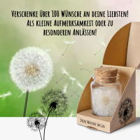 Wunscherfüller Pusteblume im Glas mit Geschenkbox