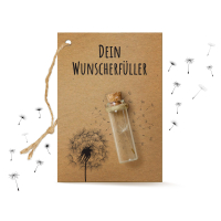 Kleiner Wunscherfüller echtes Pusteblumenschirmchen...