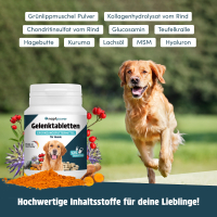 napfpower Gelenktabletten Hund (125 Stk.)