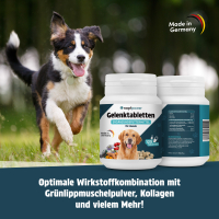 napfpower Gelenktabletten Hund (125 Stk.)