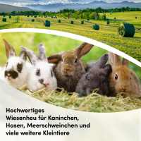 napfpower Wiesenheu 5 kg