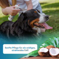 napfpower Fellpflege Hund mit Kokosduft (250 ml)